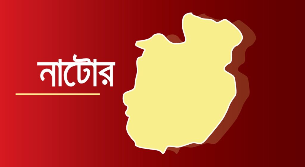 নাটোরে উপজেলা নির্বাহী কর্মকর্তার কার্যালয়ে একাধিক চাকরি