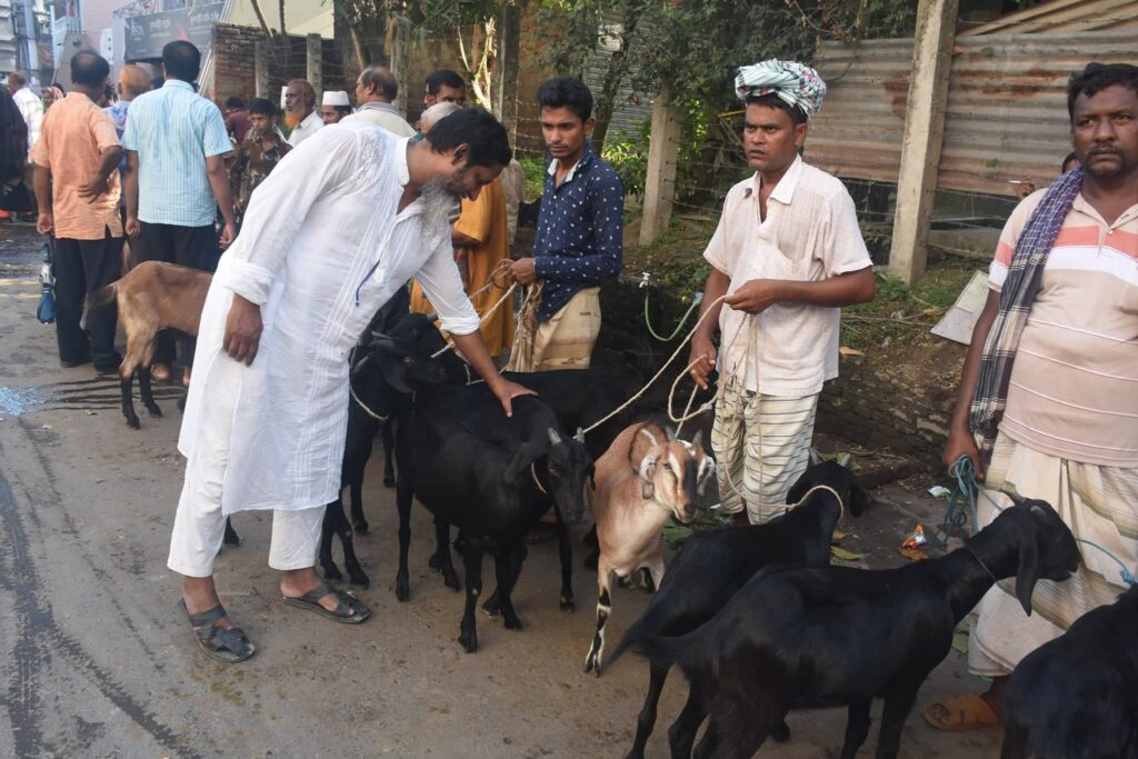 সাহেব বাজারে ছাগলের হাট জমেছে