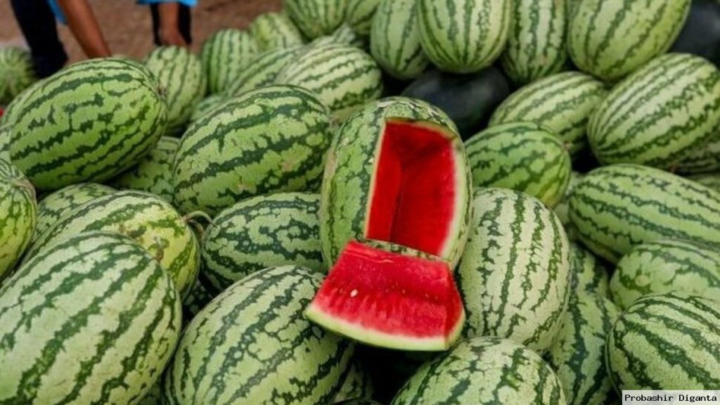 মিষ্টি তরমুজ চেনার উপায়