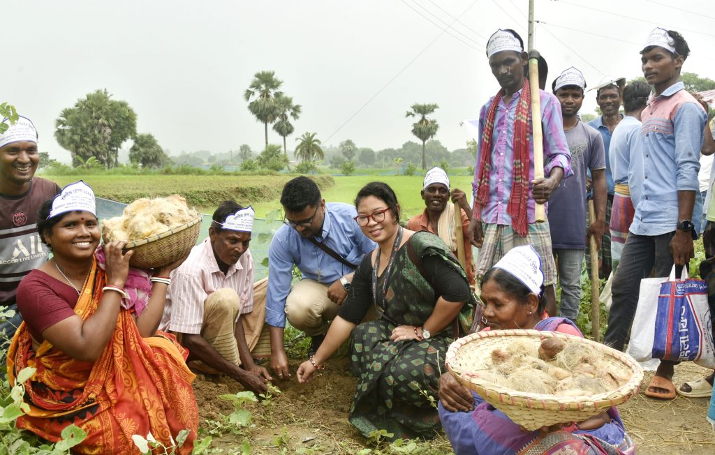 রাজশাহী গোদাগাড়ীতে এক হাজার দুইশত তালবীজ রোপন