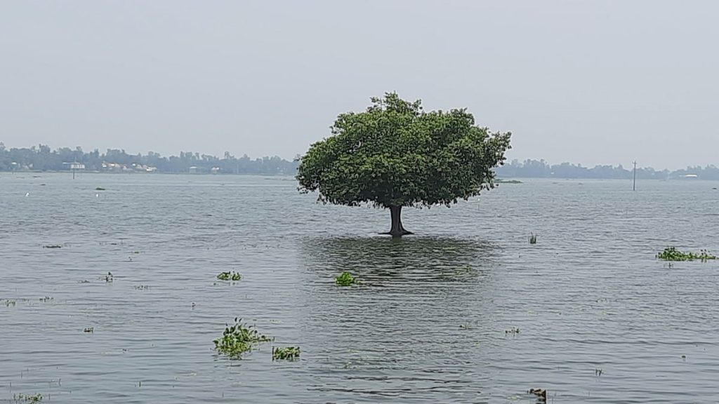 সিরাজগঞ্জে যমুনার পানি বিপৎসীমা ছুঁই ছুঁই